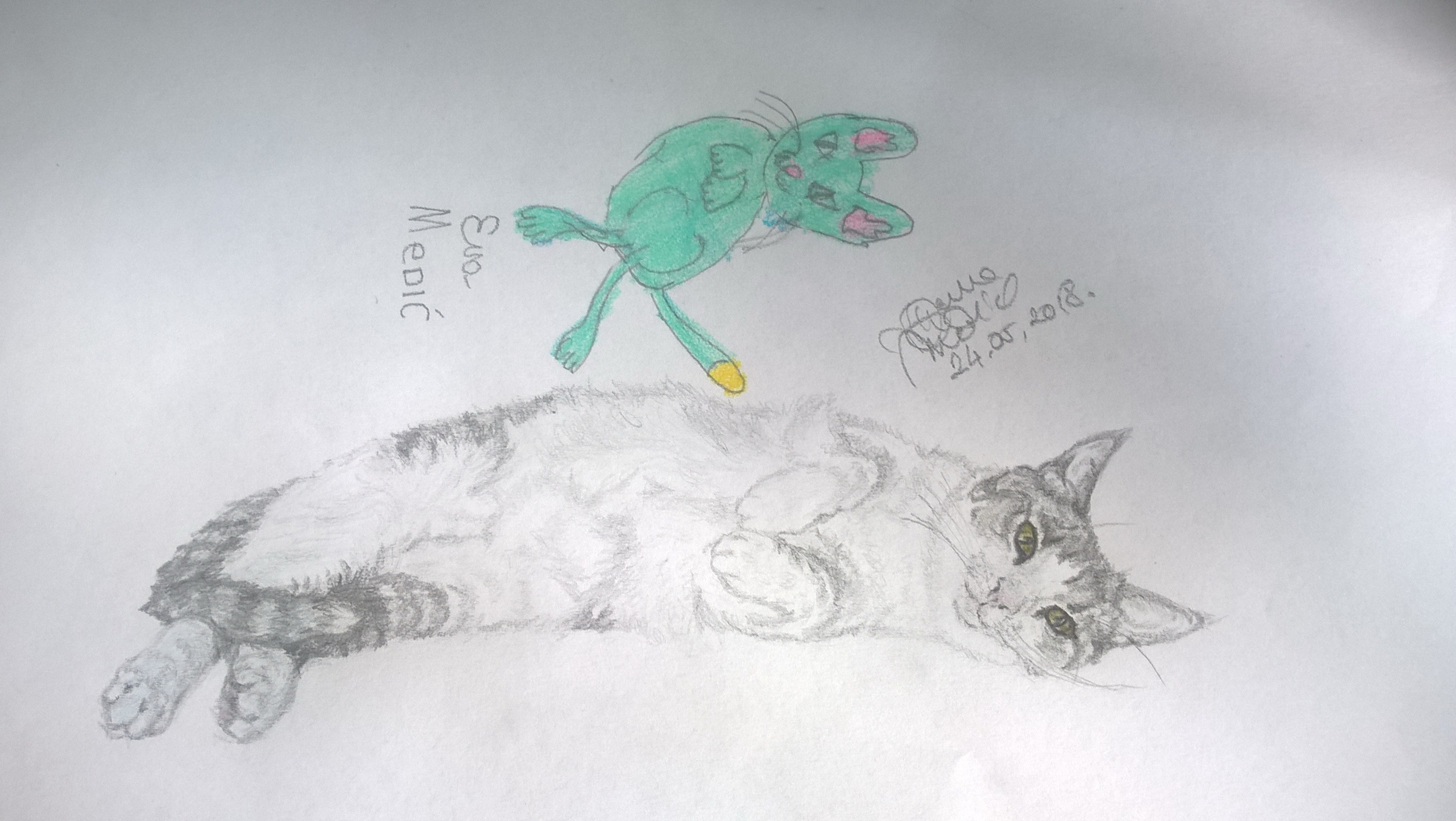 WP_20180524_12_40_51_Pro