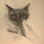 WP_20180526_23_56_40_Pro