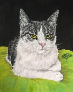 WP_20180608_12_49_51_Pro